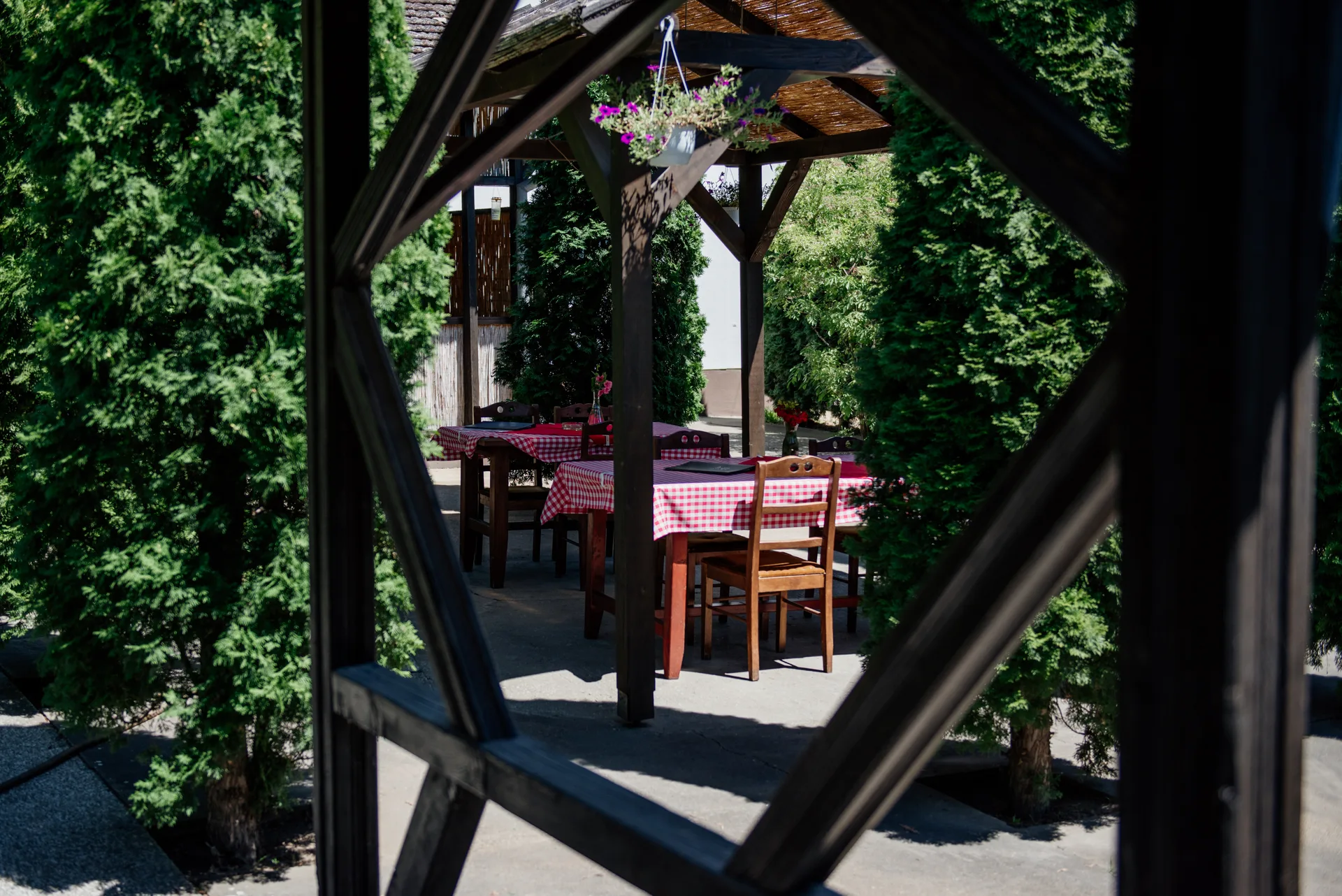 Pogled na baštu kroz drvenu rešetku