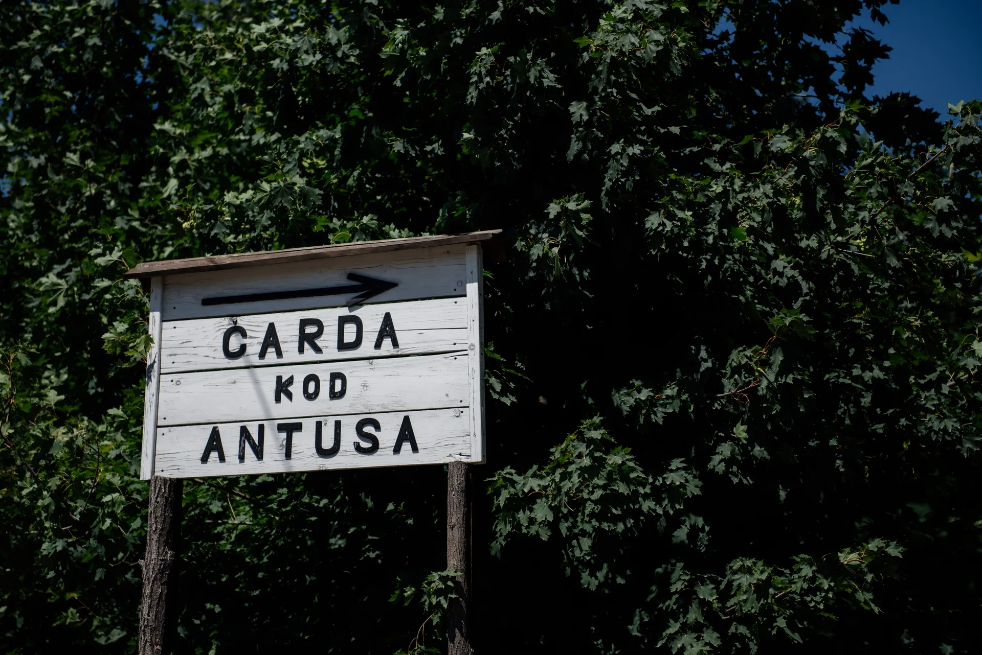 Mirno okruženje bašte — Čarda kod Antuša, Peščarina