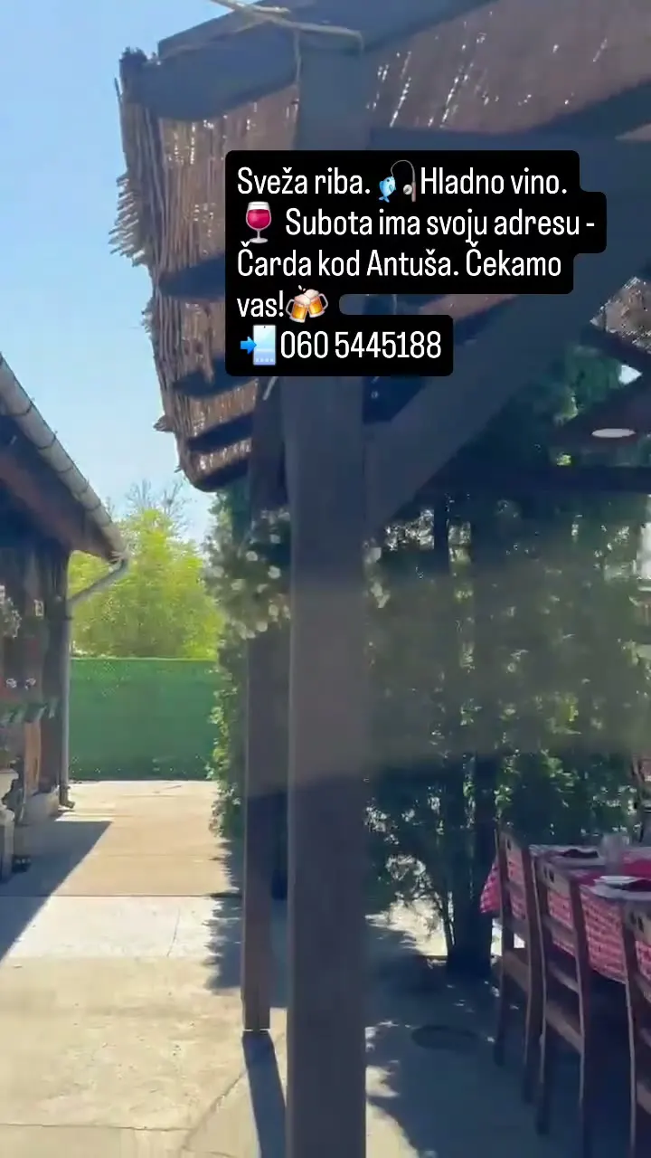 Snimak bašte i terase čarde
